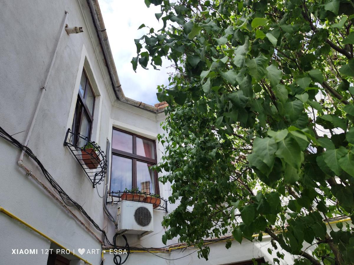 Apartament Buon Gusto,Near Main Square And Liar Bridge,Historical Side Of City Center سيبيو المظهر الخارجي الصورة